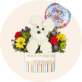 Birthday